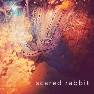 Album cover artwork: Abstract lights and blurred shapes. Track: Scared Rabbit. Artist: Jennasen.